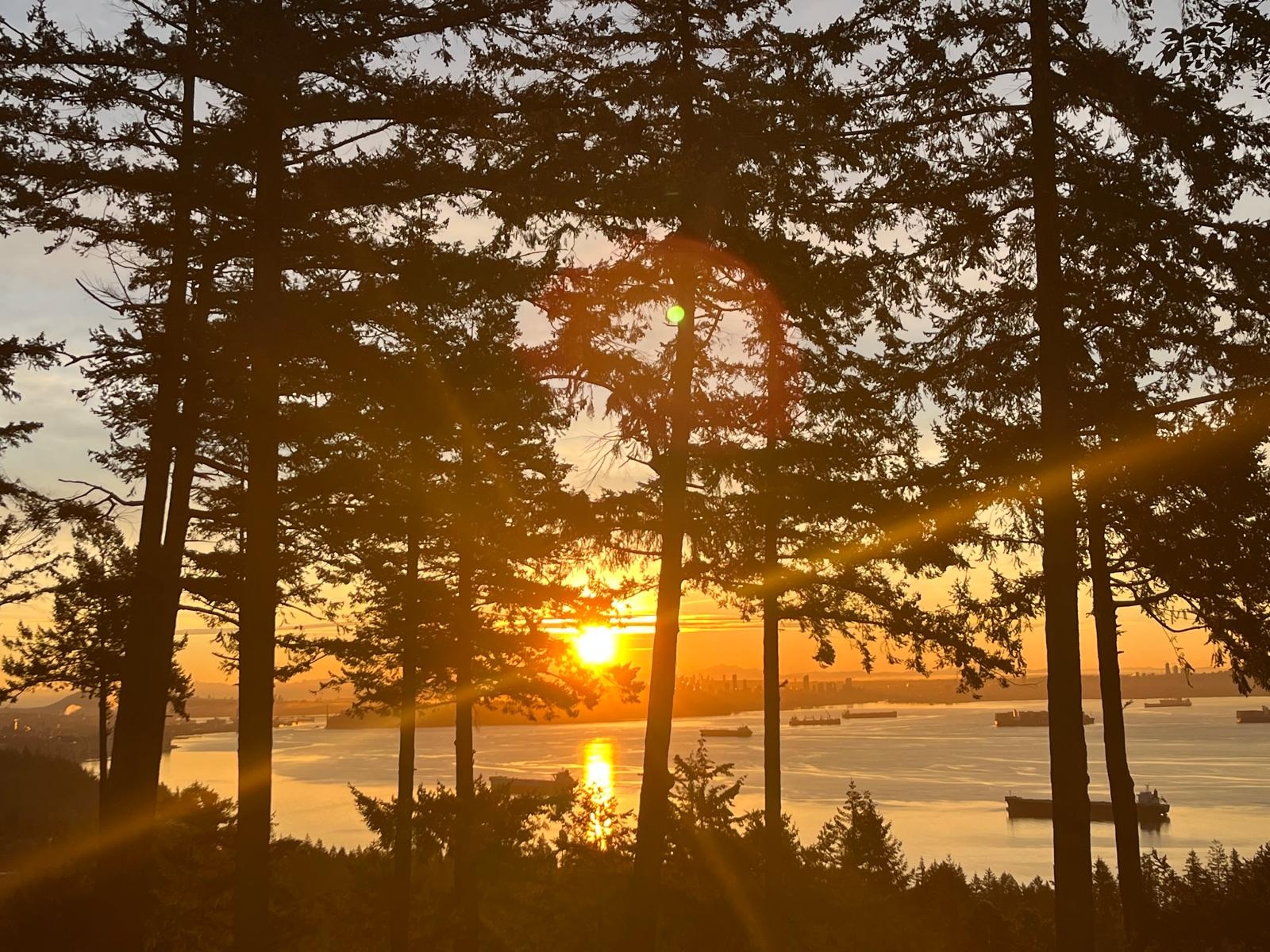 #8 – 5110 Alderfeild Place